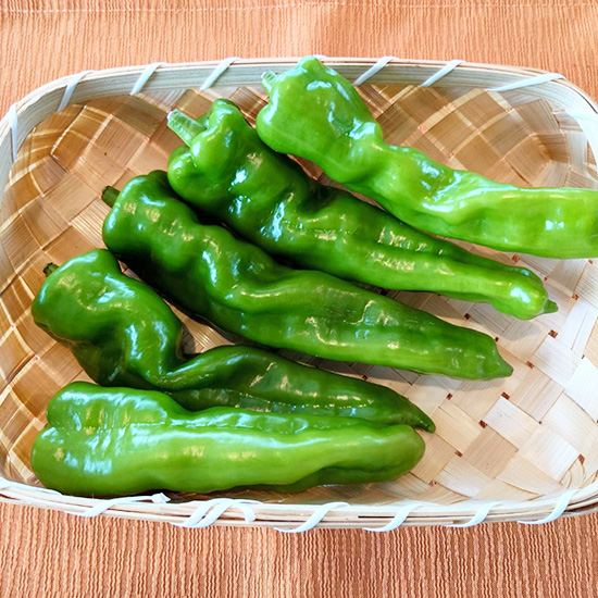 山江の農家さんから直送の甘唐辛子